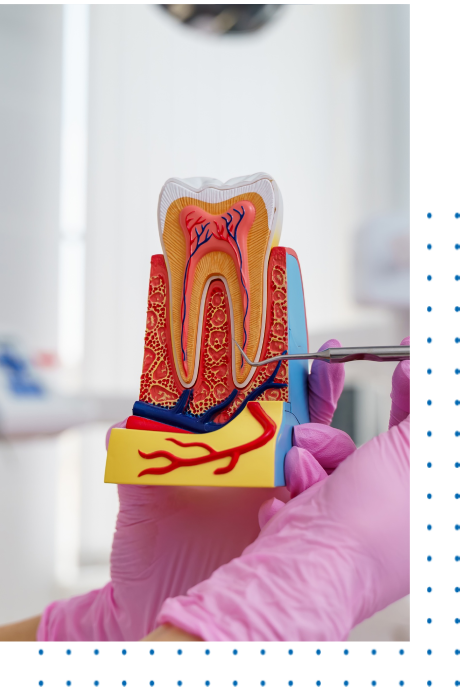 Scaling And Root Planing In Los Angeles